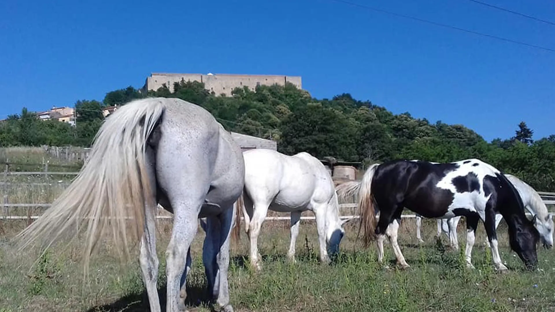 Ai-piedi-del-castello